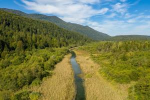 Darko_Jakovac_Reka Ribnica v bližini Prigorice 2